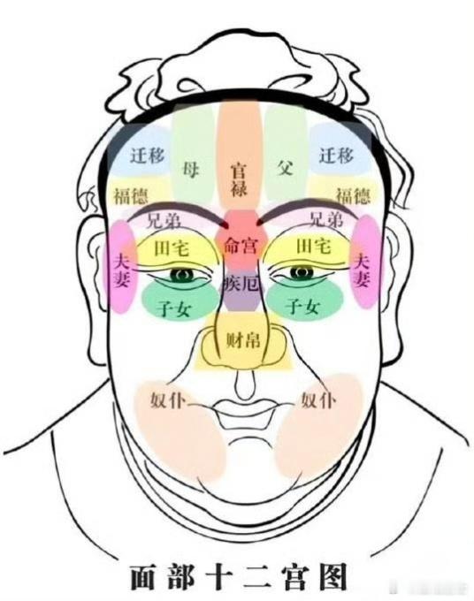 面相面相：你的脸，藏着你一生的“剧透”最近整理了面相直断秘诀，不用生辰八字，一眼