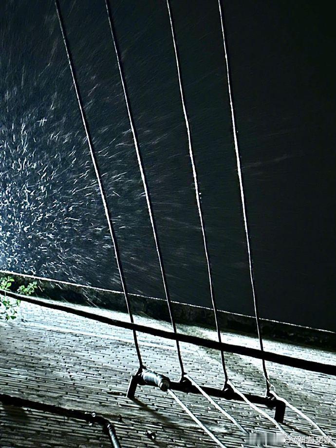 王俊凯生日晒库存照片，25 岁的他阳光帅气。愿他自由奔跑，顺心如意，星途璀璨。 