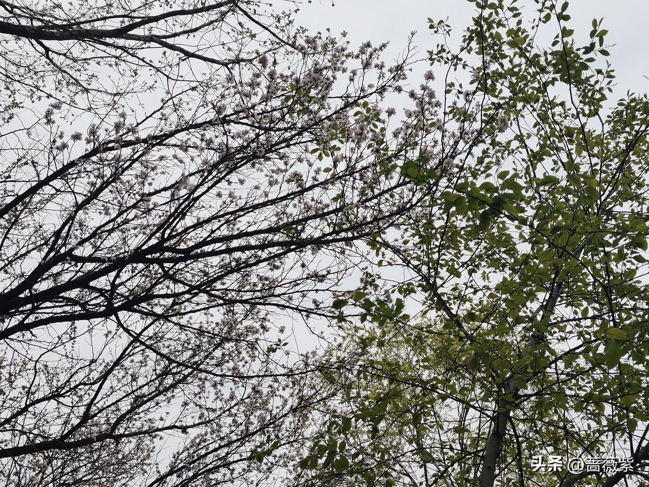 我是真的胖了。

闺蜜请我汗蒸加看电影。

洗完澡出来，汗蒸服穿上就觉得小，看闺