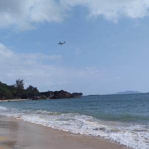 抱拥朝阳之秋爽