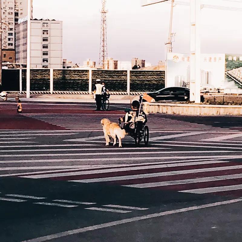 父母老了，陪伴和金钱都很重要，不同阶段需求不同。
在父母60 - 75岁的健康活