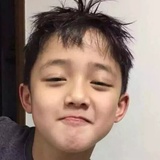 小白猪聚聚科技