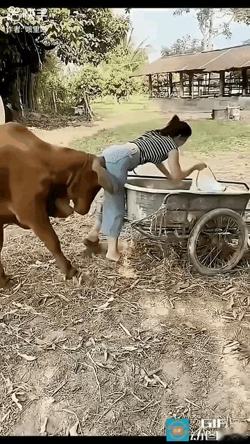 这个转身，初恋的味道啊[星星眼][星星眼][星星眼][星星眼]