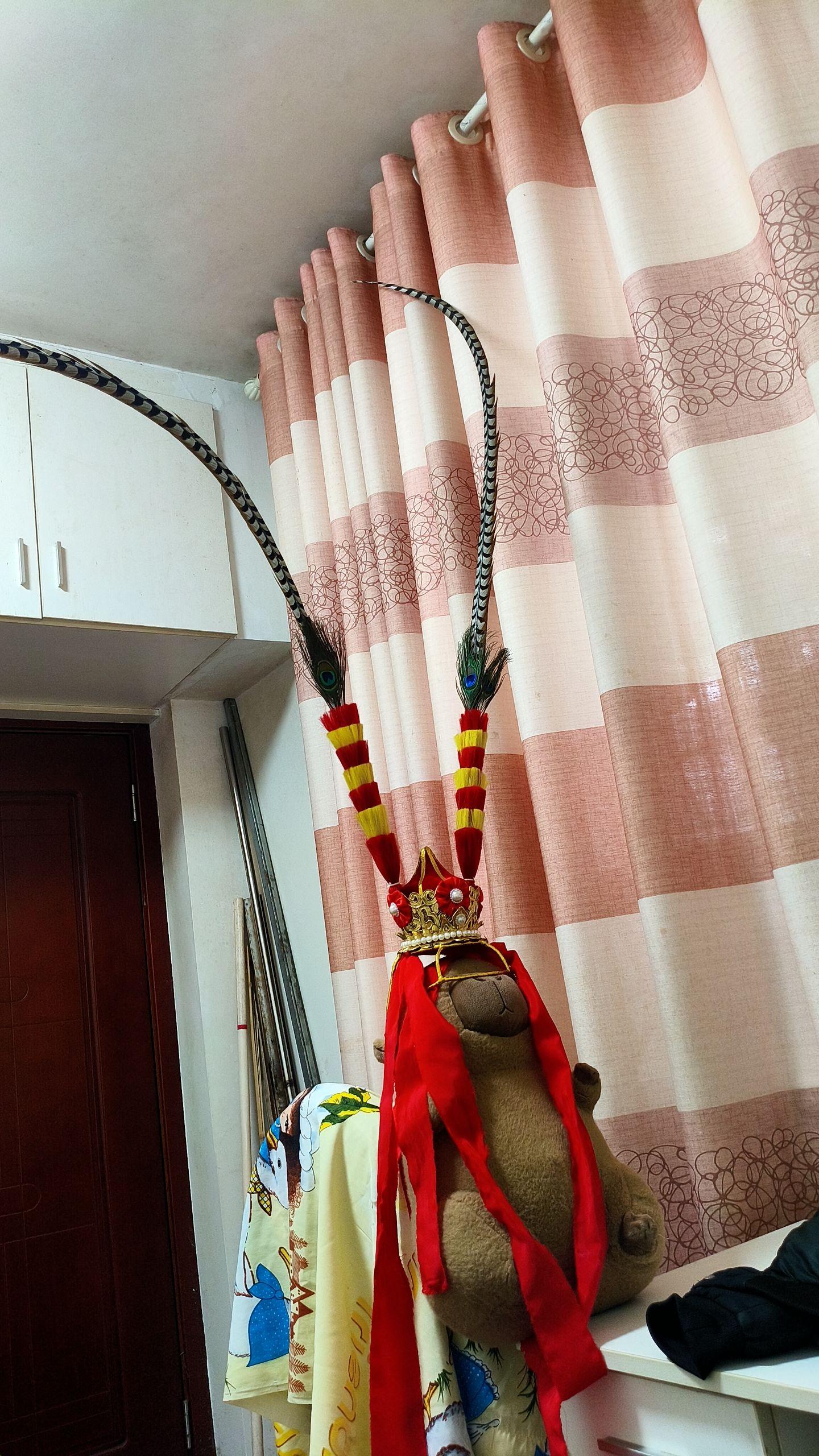 老朋友，好久不见呀