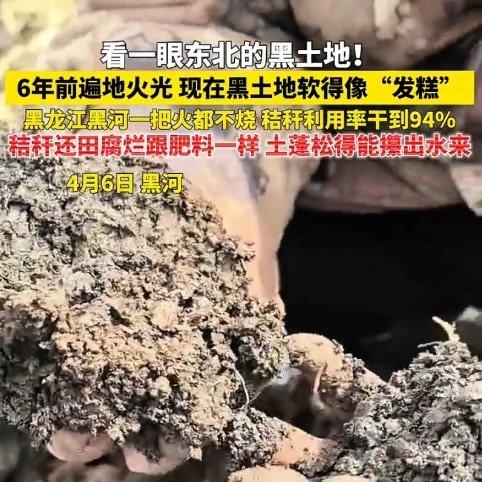 走在黑龙江黑河的田间地头，你会发现脚下的触感变了。以前秋收后是遍地火光、烟熏火燎