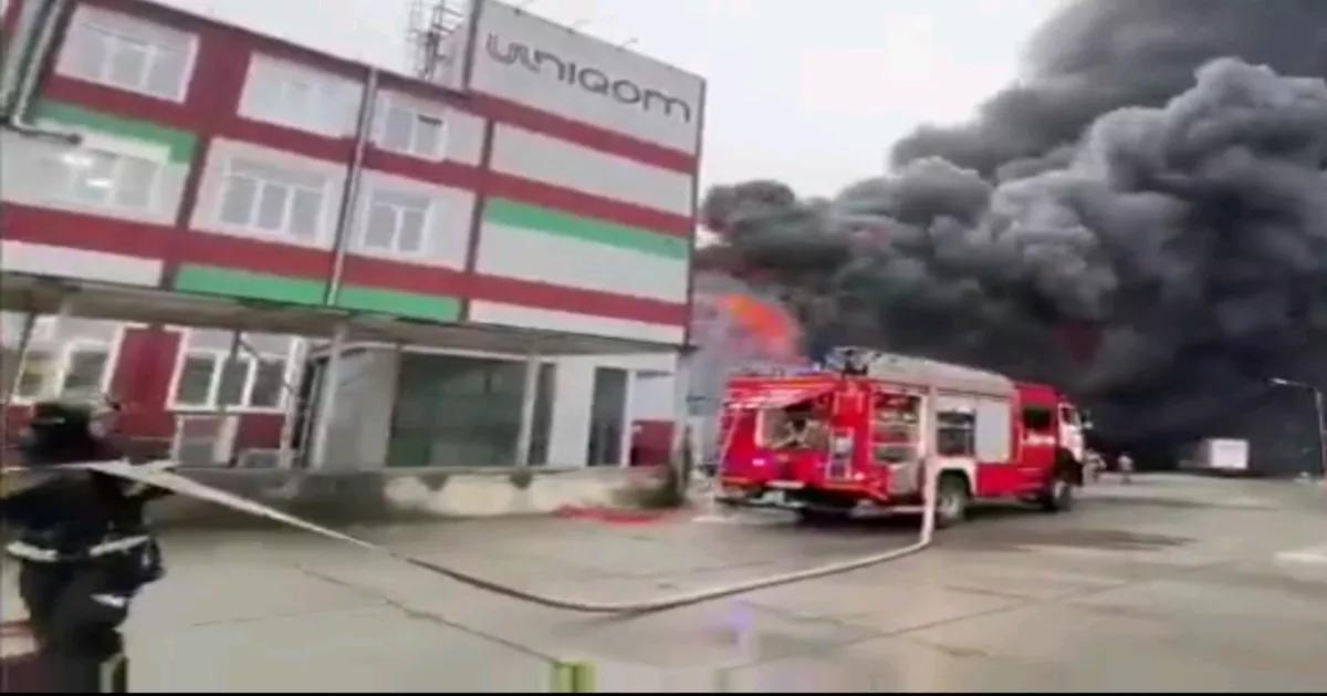 欧洲新闻网报道，当地时间31日，俄罗斯滨海边疆区对外证实，当天该地区符拉迪沃斯托