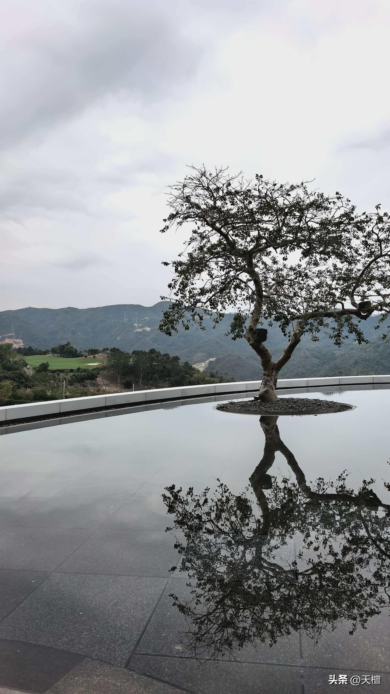 与自然顺，是让我们学会敬畏自然，敬畏规律，不做逆天违时之事，取用有度，知足知止。