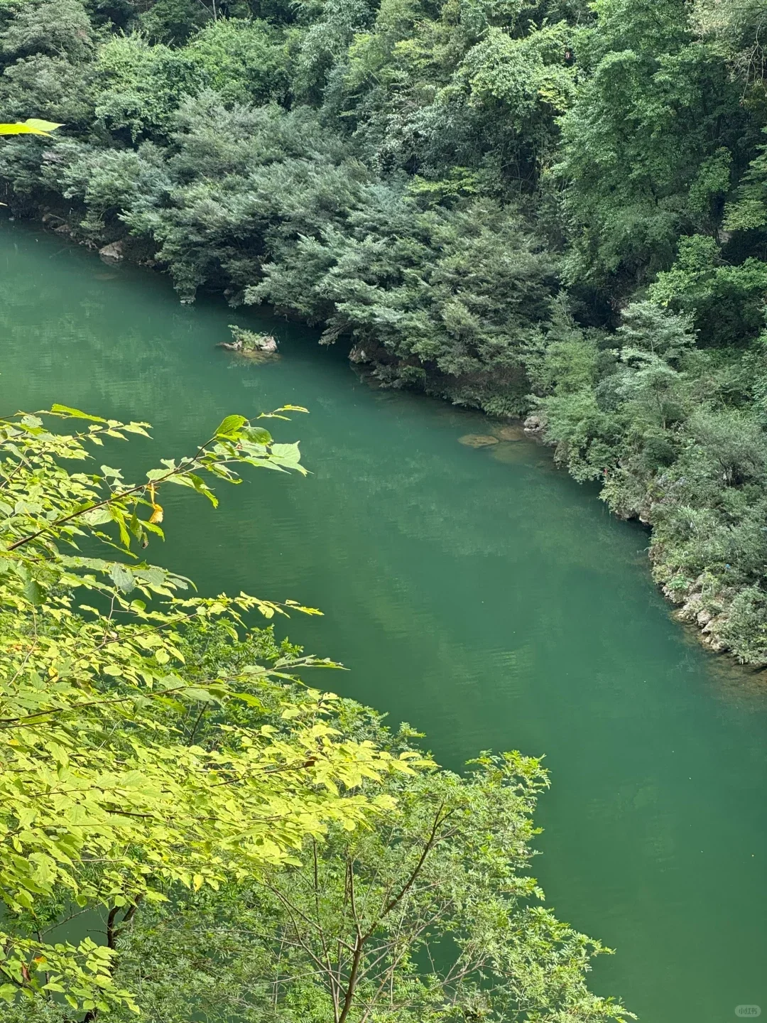 🌈光雾山与米仓山，梦幻仙境两日游✨