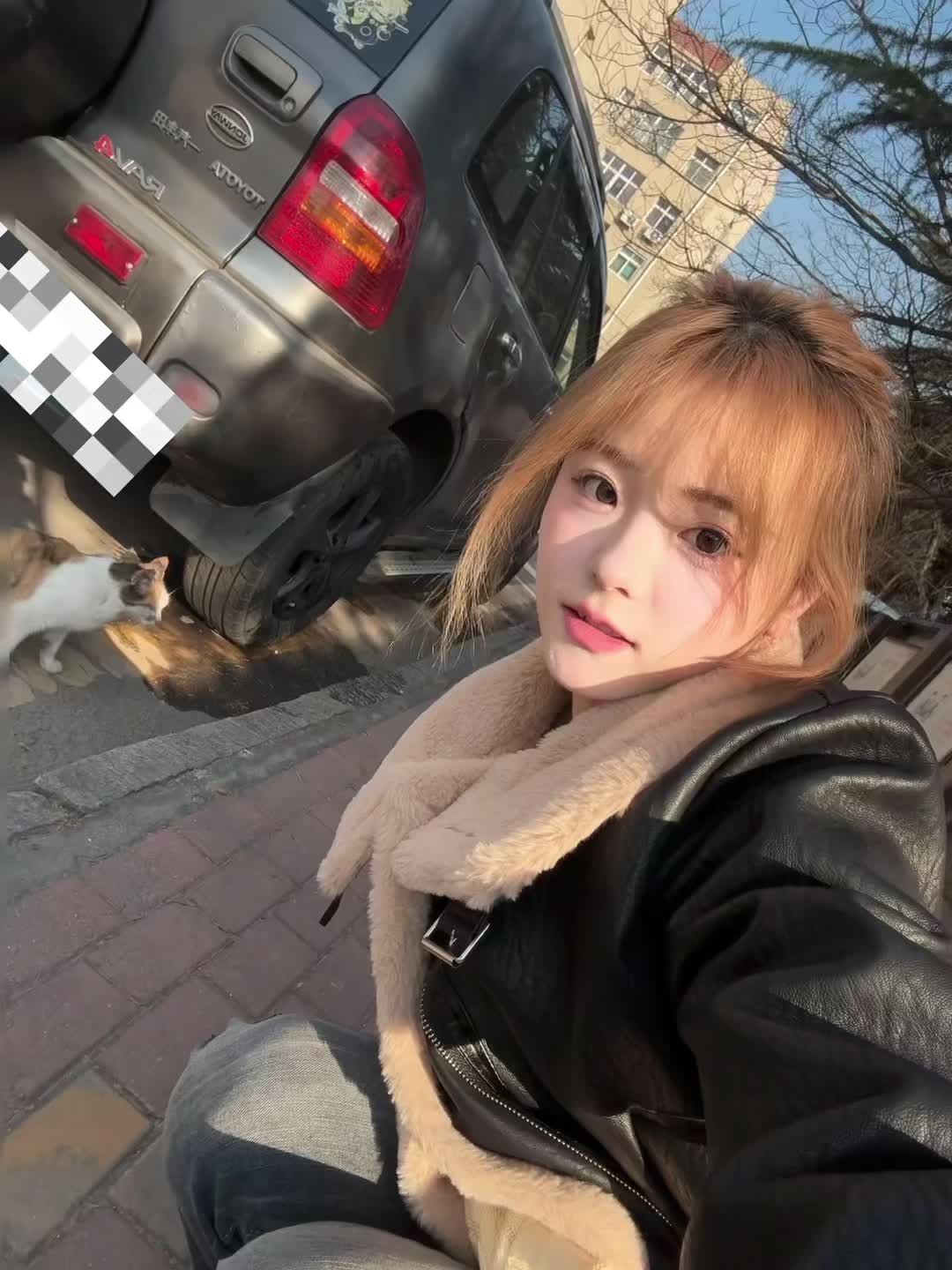 给路边的小猫拍张照