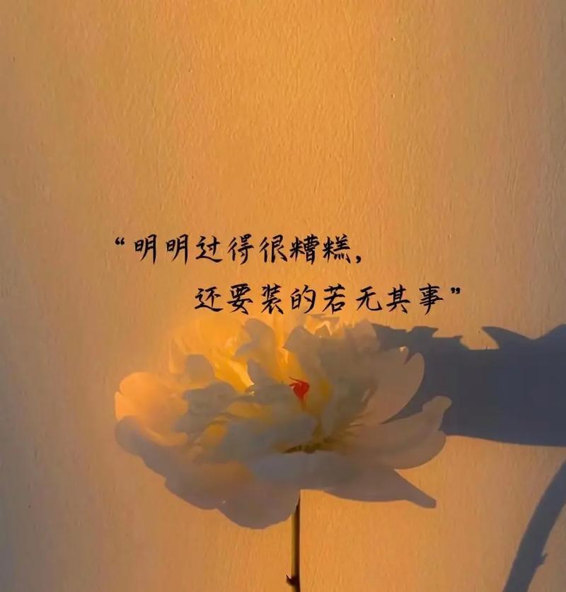 生活手记人生没有宏大的叙事，只有无数个三分钟的叠加。认真过好每一刻，便是对生命最
