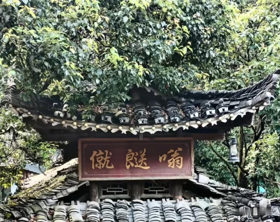 这三个字里有两个字都不认识，现在想想，觉得我的语文老师真的特抠门，一学期收我五块