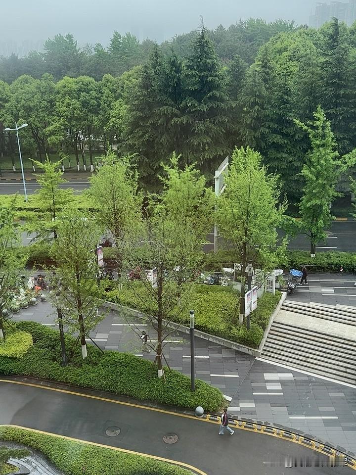 万象汇的树木就像城市里的绿色精灵。一走进万象汇周边，首先映入眼帘的是那一排高大的