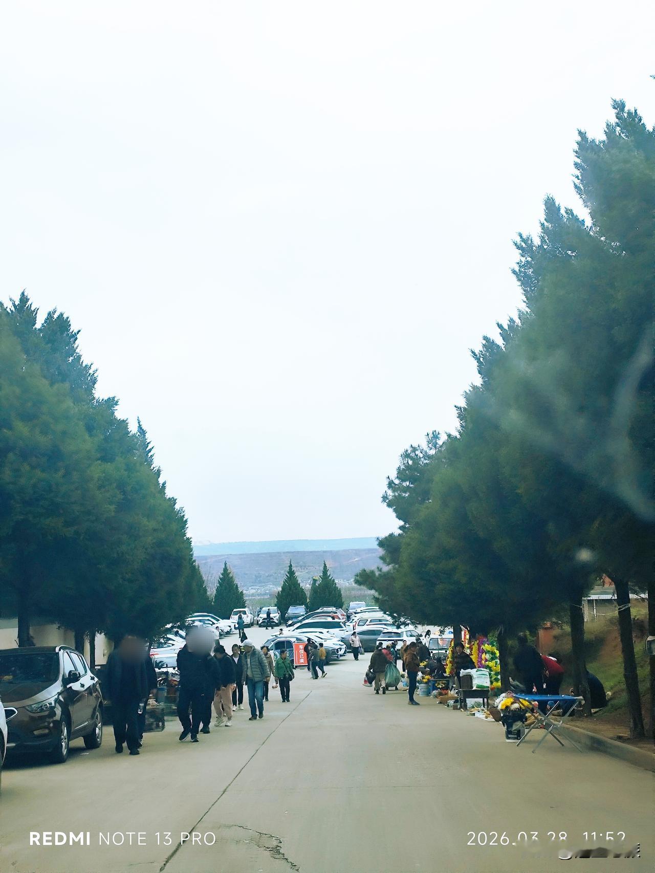 前天周六提前去扫墓了，没想到大家想法都一样，人还挺多的，虽然今年的清明节要放好几