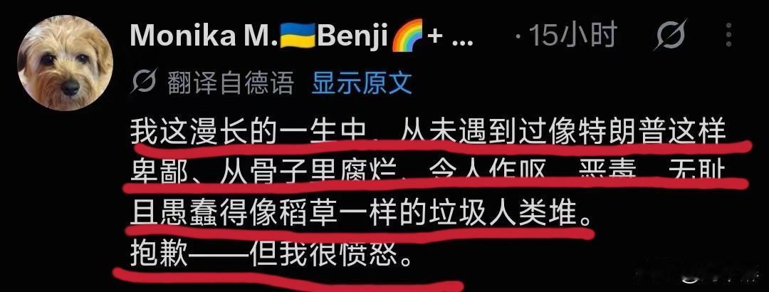 这是网络上极其罕见、措辞最为猛烈的一则针对特朗普的外网帖子。
全部是极强的情绪宣