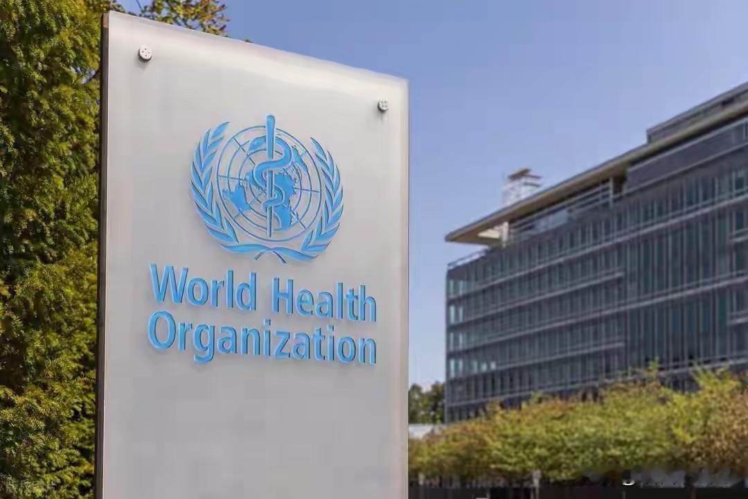 世卫组织拟在刚果（金）启动埃博拉疫苗临床试验

世界卫生组织驻刚果民主共和国代表