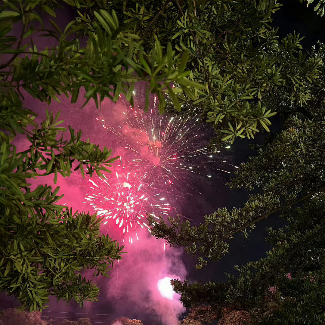 网友梦幻抓拍：烟花树🎆🌲 