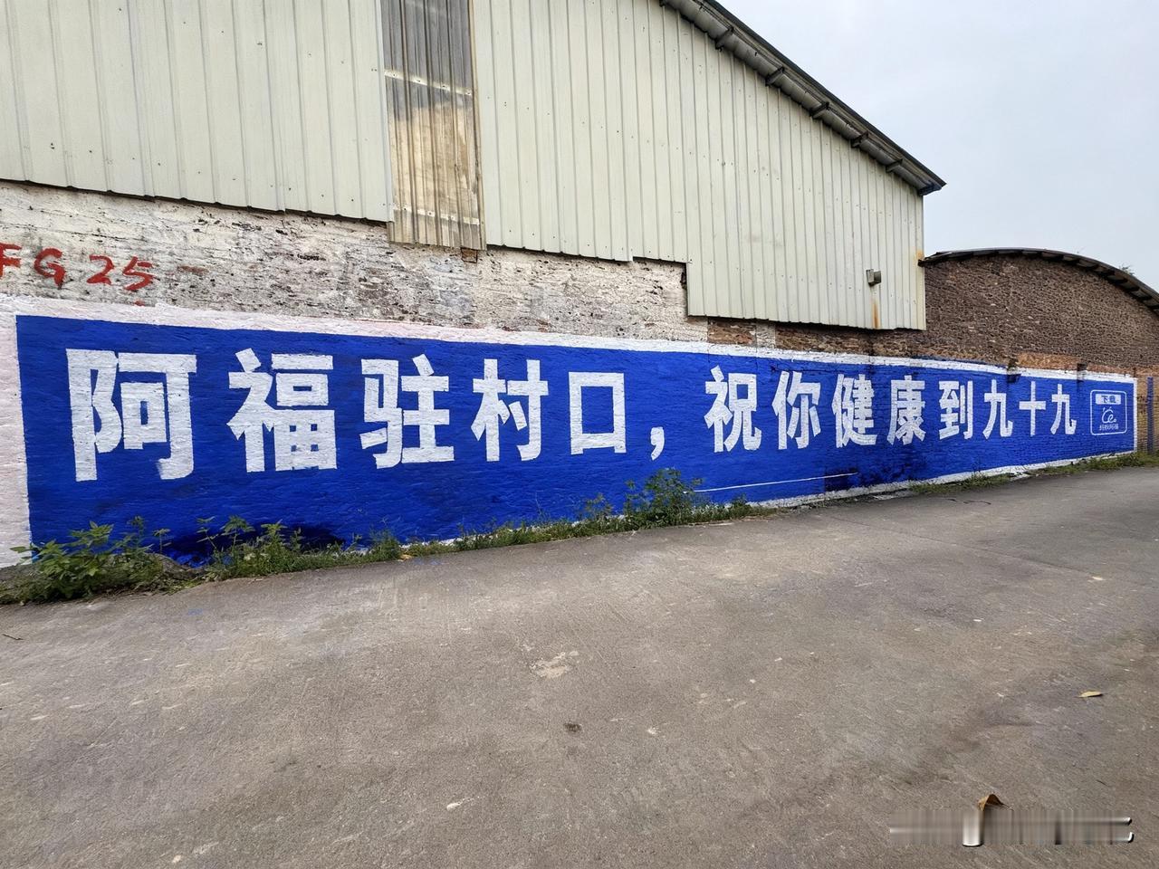平时闲得没事，喜欢听村口的大爷大妈聊天儿，这两天他们嘴里又有新东西，说是村里来了