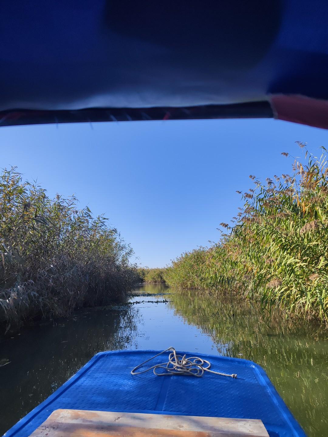 女人可以强势，
但同时一定要自强自立，
没有能力赚钱，
起码也得有个完全可以养活