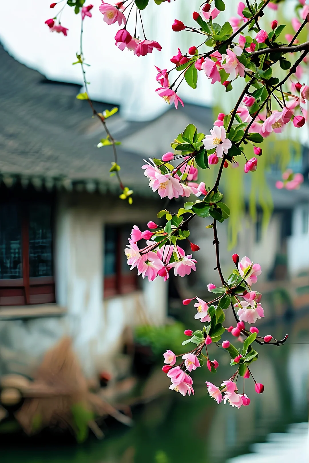 风是甜的，花是香的