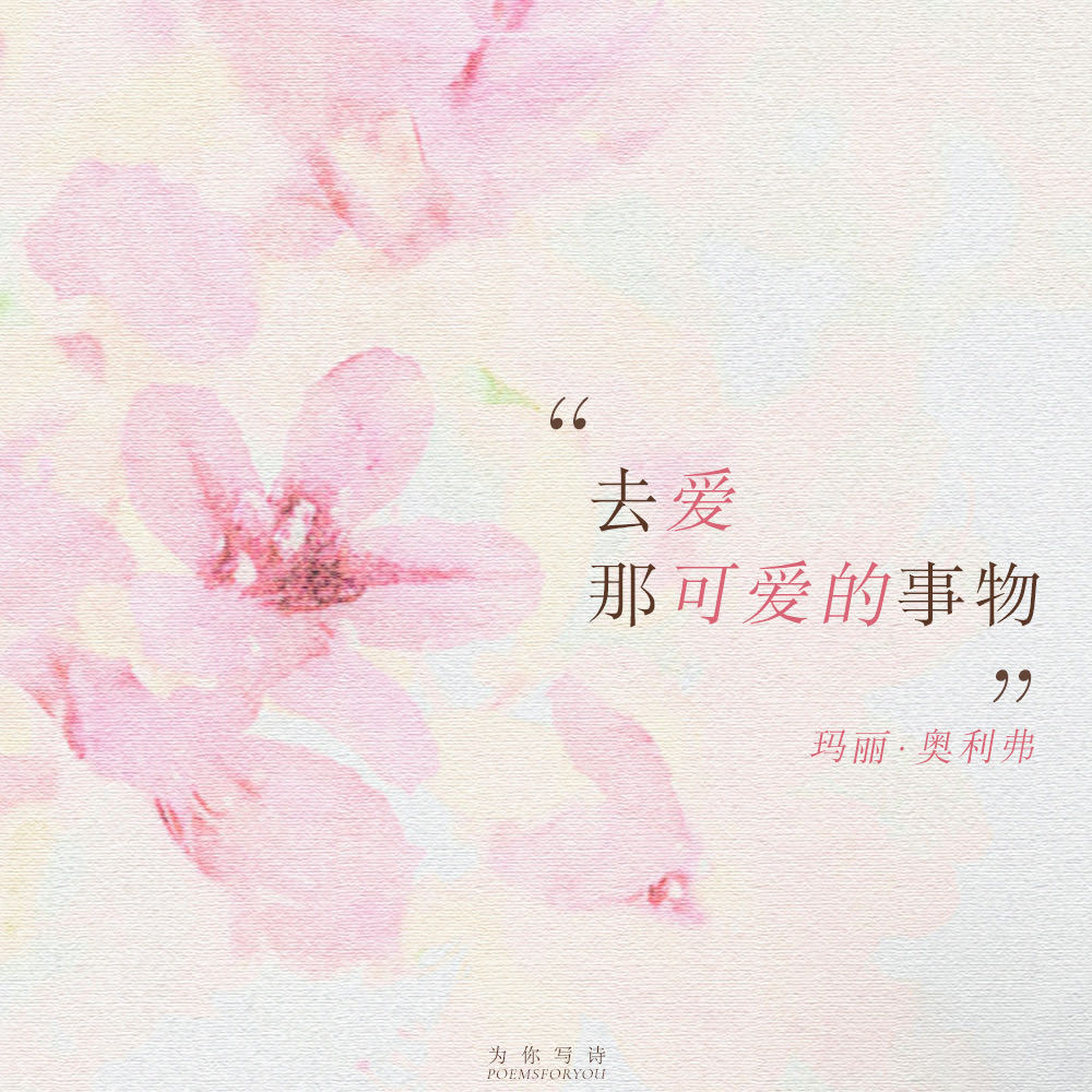 “去爱那可爱的，无法长久的事物”在玛丽·奥利弗爱的注视下，万物皆明朗而可爱：Po
