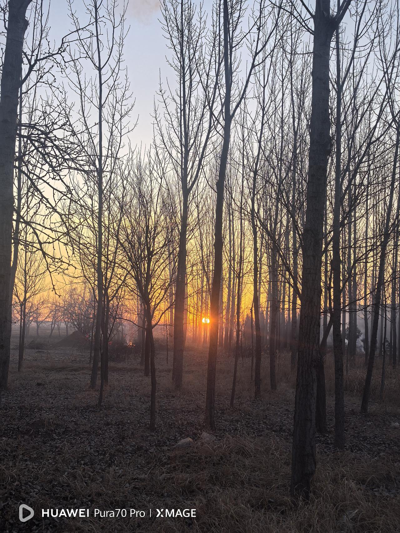 今天是除夕，按照我们老家的习俗，除夕早晨上坟，上完坟再回来吃早饭。

早晨5：3