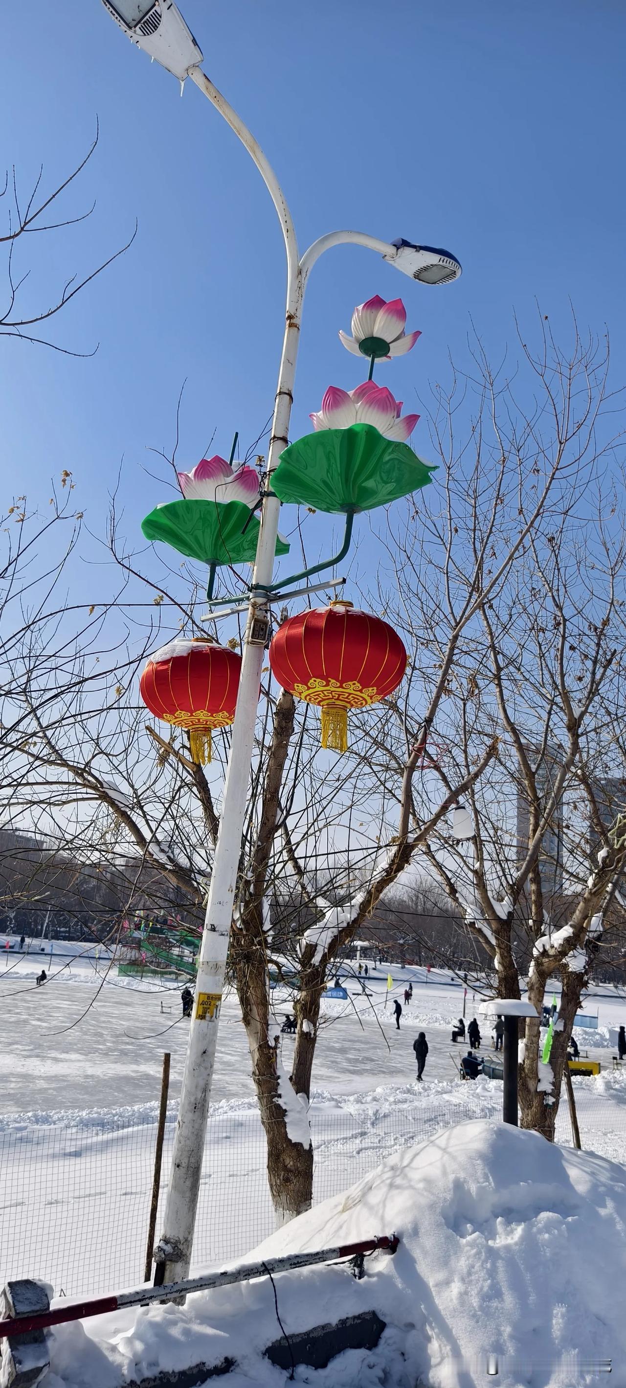 塞北的雪
分享一组雪照片  分享你所在城市的雪景 分享一张雪景图