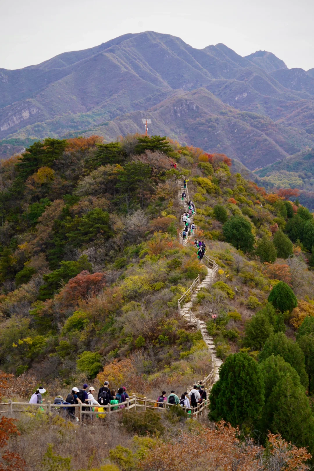 🌍治愈地球=治愈自己🍁