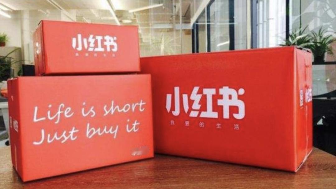 小红书电商闭环受阻，支付牌照受挫
小红书于2025年11月收购的“东方支付”，其