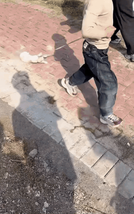 不爱请别伤害！
3月22日河南（发布），一网友在公园游玩时，看到一个小男孩用绳子