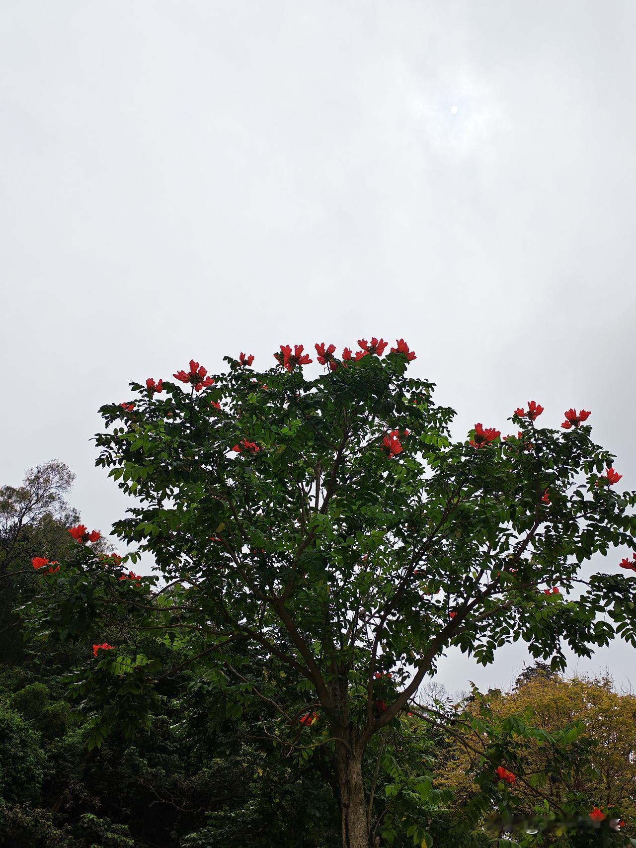 难得周日起这么早，平时都赖到九点后，今天七点就起来了，昨晚睡得好，一觉到快六点。