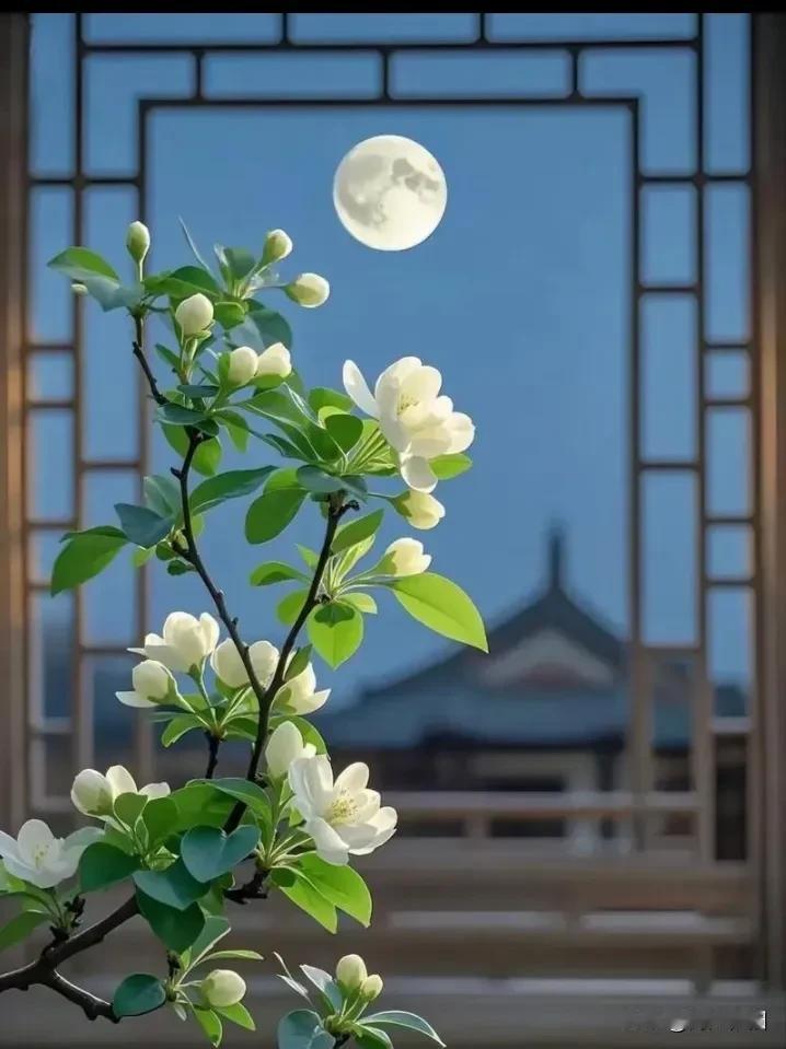 《菩萨蛮·杯酒藏情》

春阳一盏融寒夜，
欢愁聚散杯中写。
月下起乡愁，
相思无
