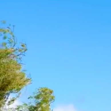 “最顶级的自律就是涅盘重生，朱元璋曾说过：雪压枝头低，虽低不着泥，一朝红日出，依