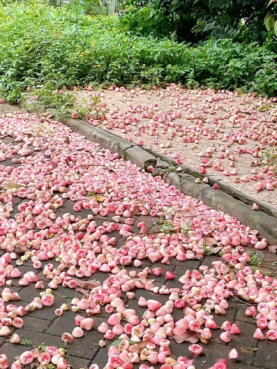 只要有资本在，在平常的东西，也难以流入千家万户
