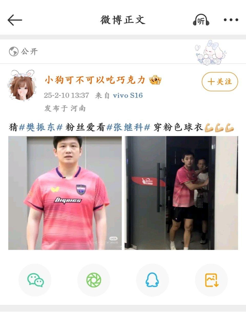 贝者 张继科  粉丝给蝴蝶代言人 樊振东  跪下 