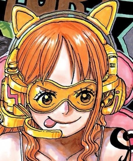 海贼王 海贼王 发现猫咪🐱🐱🐱 