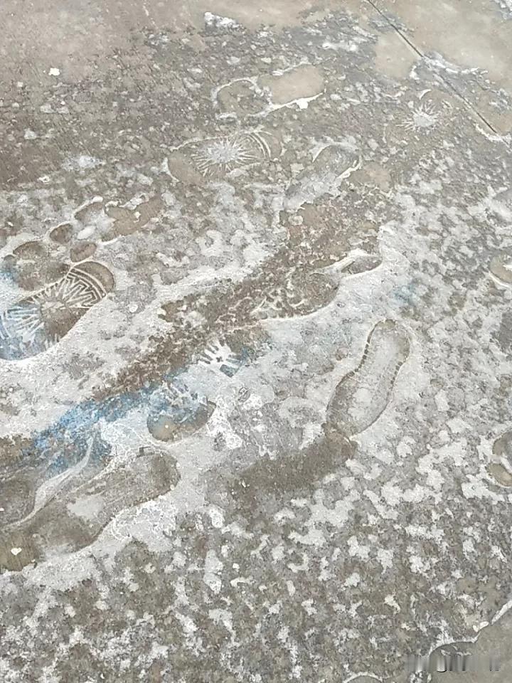 比起聪明能干

这一种品格才是一个人行走世间的底牌
 
我一直觉得，一个人最可贵