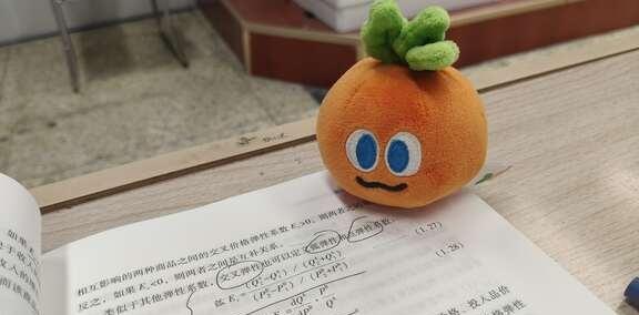 全宇宙最爱学习的胡萝卜
胡萝卜