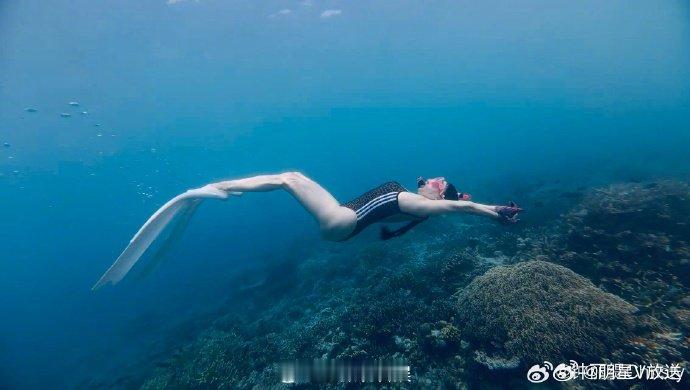 钟丽缇夫妇带女儿海岛度假钟丽缇潜水照 7 月 23 日微博晒出海岛度假照，与张伦