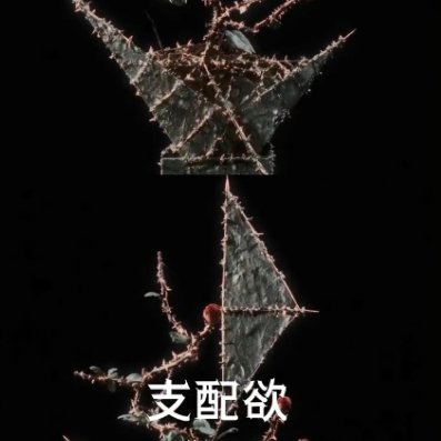 “纸是时间地域文明技艺情感的载体，有如此多的形态。我们，亦是。 ” 