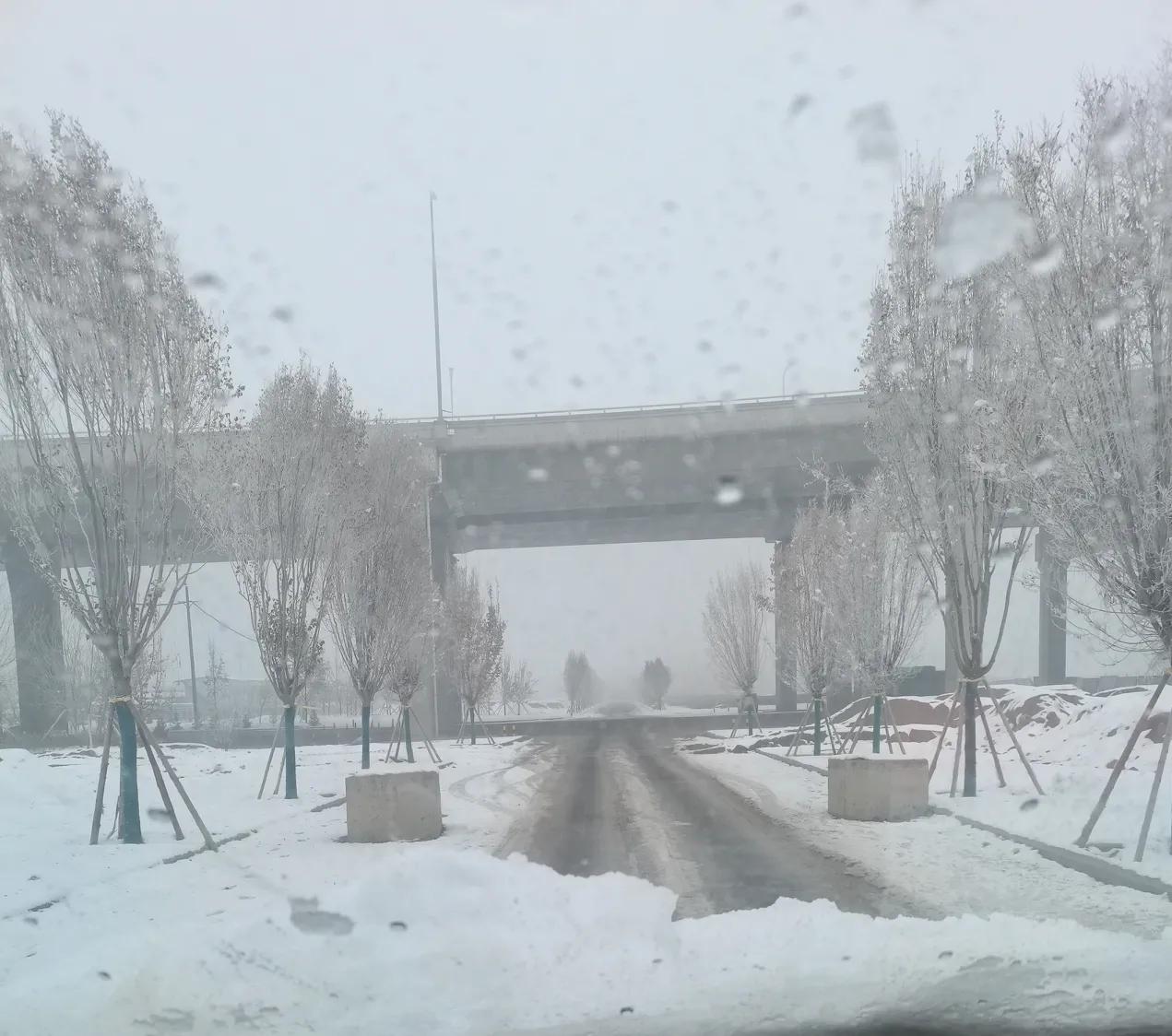 冰天雪地冬日运势签