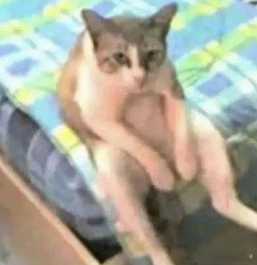 其实我觉得1的gc脸也特别涩… 