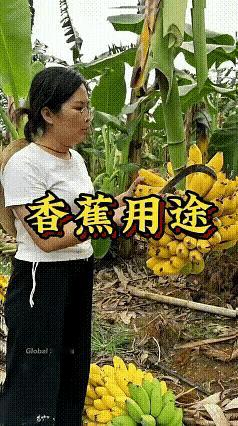 各取所需，没毛病