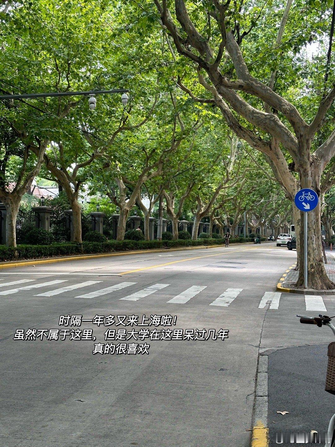 PLOG.101 [微风]盐盐的日常距离上一次来上海已经是上一次了！坐高铁2小时