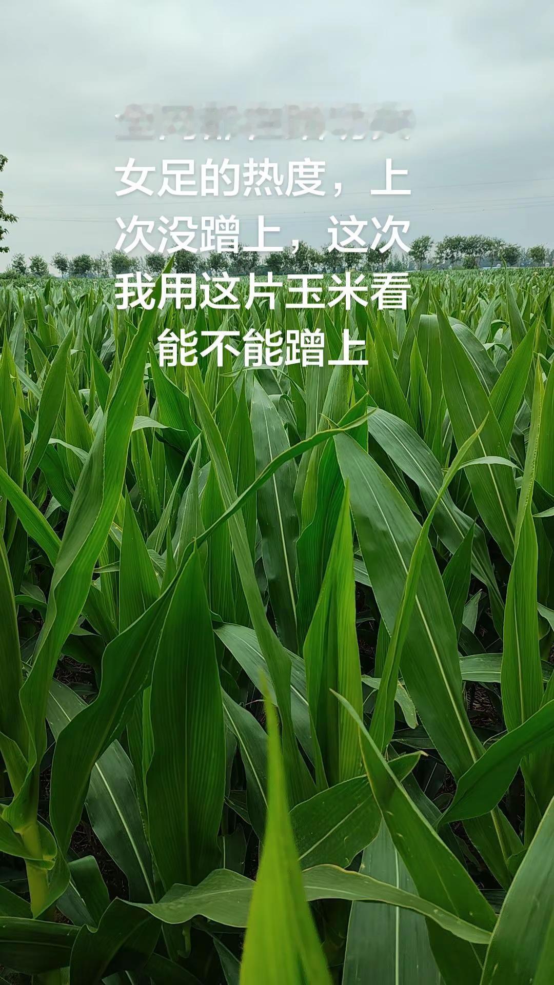 星爷说心中那团火永远不会熄灭，永远不退缩，保持热爱迎难而上