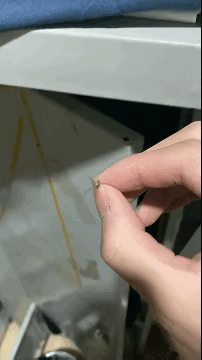 图1：蚊子：感谢大自然的馈赠！小伙子，你人还怪好嘞！

图2：身材怎么看，还是微