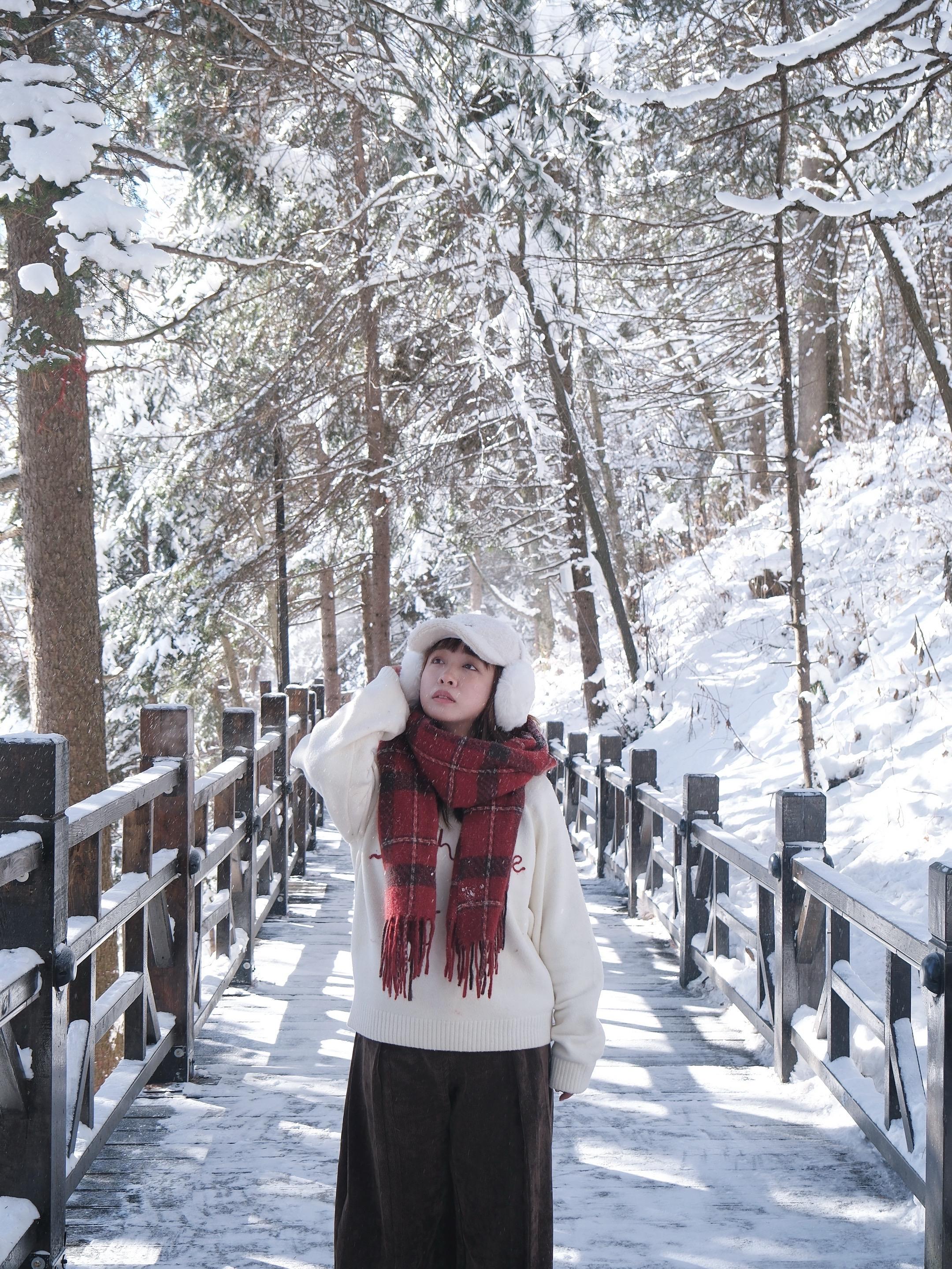 11.20雪乡实况👀。南方小土豆勇闯哈尔滨之雪乡两天一夜👏🏻白天...