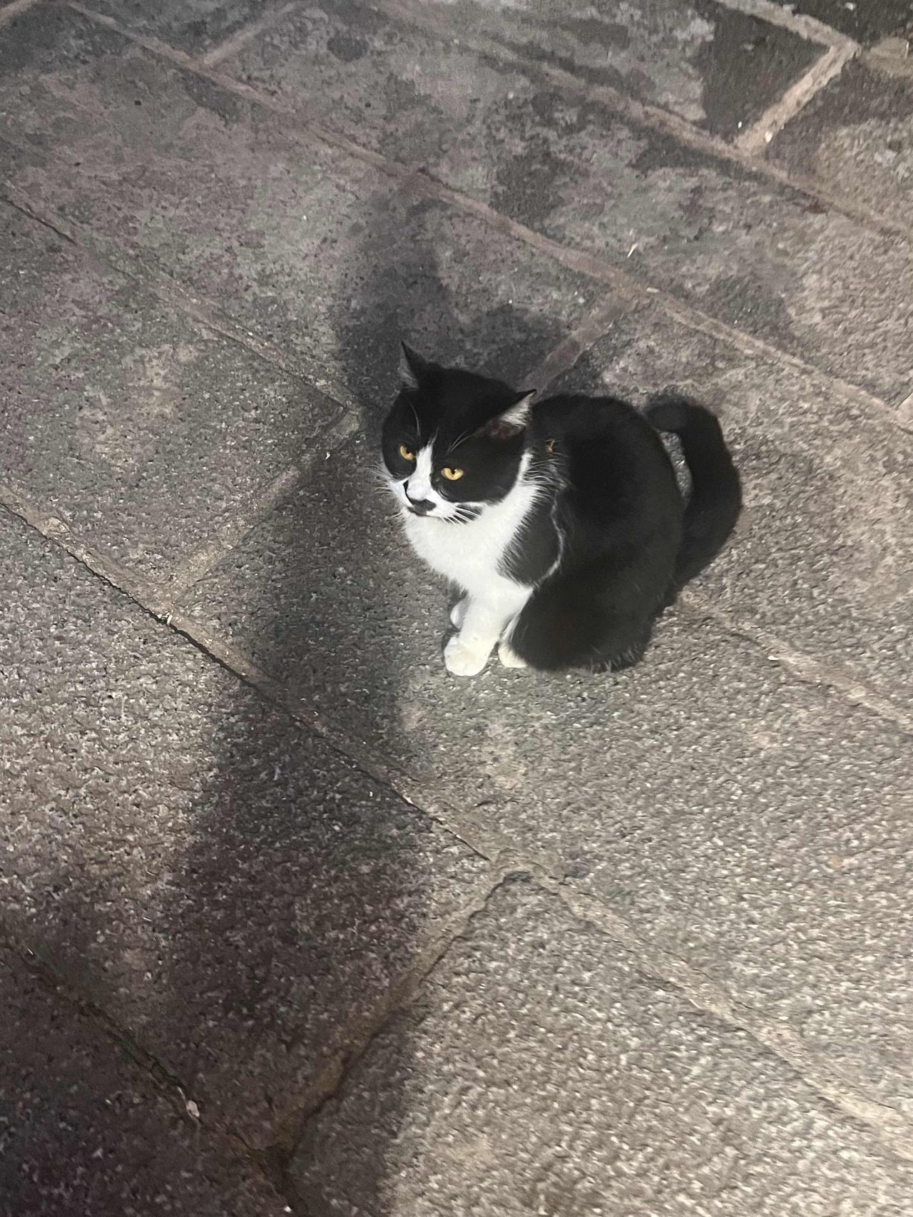 《影响力》一书中讲：现代社会中，无论事业上还是生活上的成功，都取决于我们影响他人