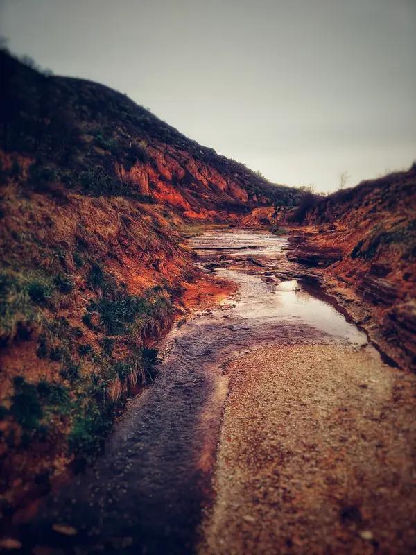 春日，化了檐角雪，叫醒冻土，让柳芽在波心瞧见嫩黄；夏日，抱着蝉鸣转，给青蛙一汪凉
