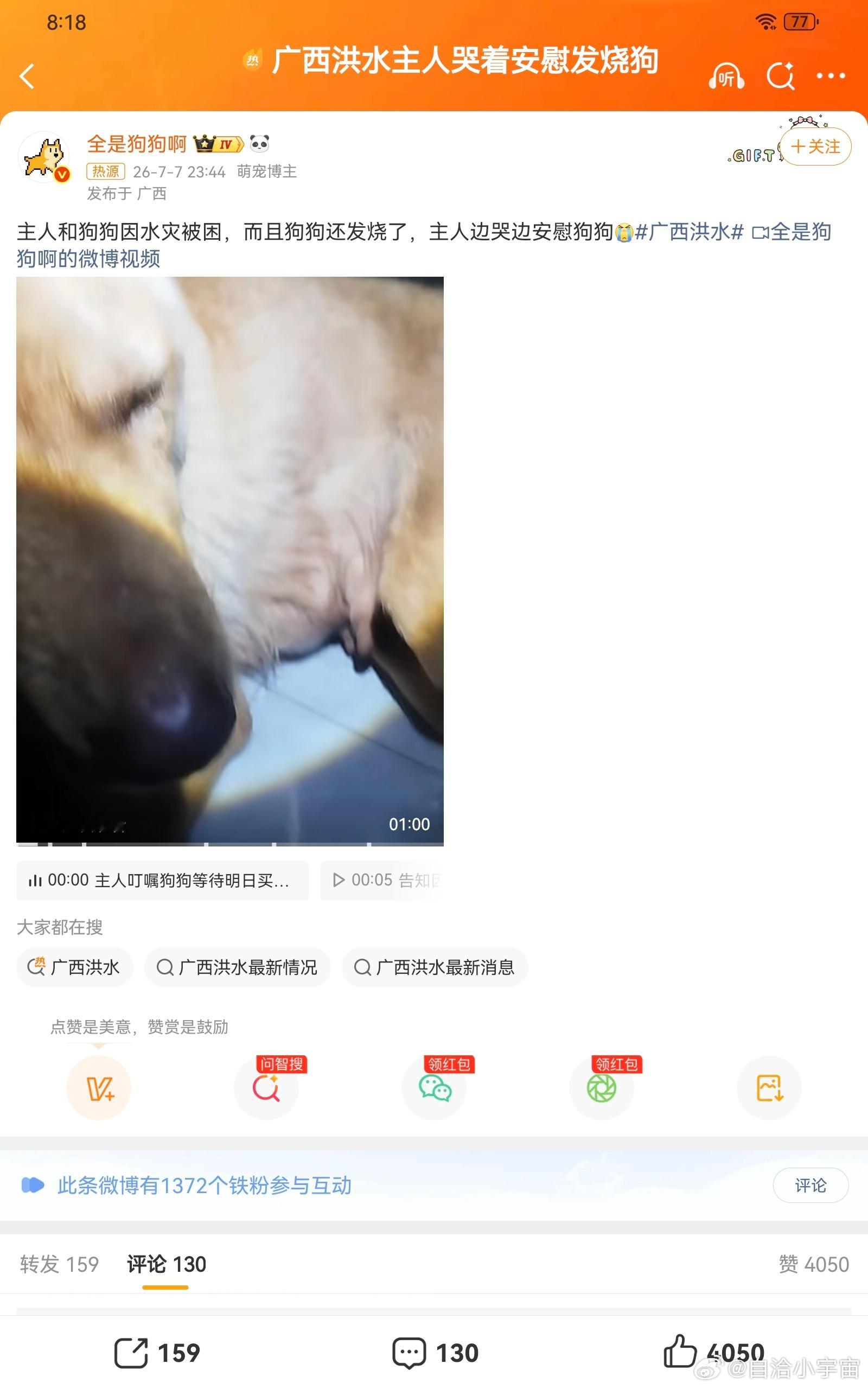 广西洪水主人哭着安慰发烧狗日常 看到广西洪水里主人哭着安慰发烧的小狗，真的瞬间破
