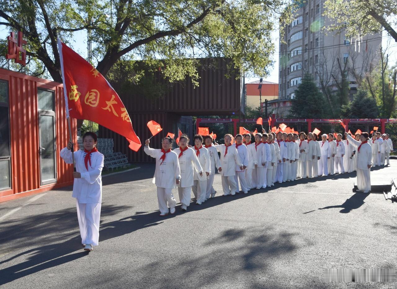 荷兰军舰侵闯我国西沙群岛，这是严重侵犯我国的神圣主权，无异于上门打脸。我们所谓的